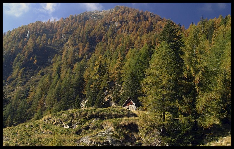 8.ValleAntrona_A.Banella.jpg