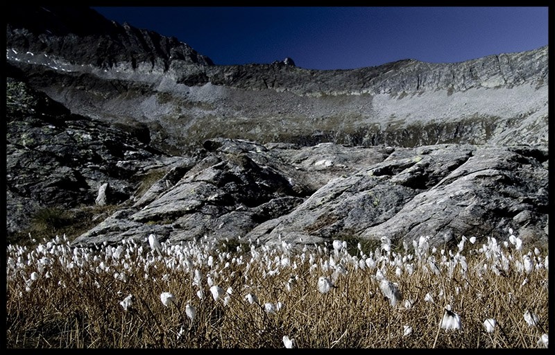 17.Camposecco_fiori.jpg
